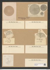 Coscinodiscus subtilis Ehr. (de-Toni-Nr.: Genus 202, Species 4941) Zeichnungen Sammlung Grunow Nr. 8534 (NHMW-BOT-W0378163)